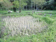 P4150084