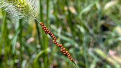 PXL_20250826_020229917