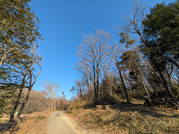 PXL_20260115_234357166