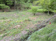 PXL_20260423_031037032