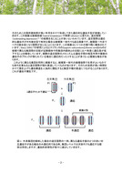 広葉樹の種苗の移動に関する遺伝的ガイドライン（森林総研）_04