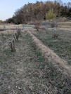 PXL_20260305_080720904
