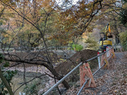 PXL_20251129_063826417