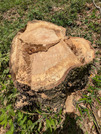 PXL_20260418_014602468