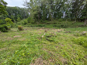 PXL_20260508_024009969
