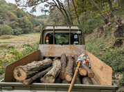 PXL_20251113_023255972