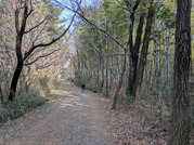 PXL_20260323_061015339