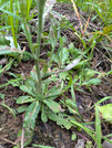 PXL_20260621_091706308