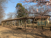 PXL_20260323_053020833