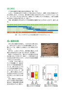 被害木を薪にしてナラ枯れを防ぐ_2