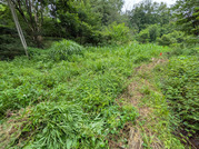 PXL_20260804_040632619
