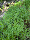 PXL_20260510_015342807
