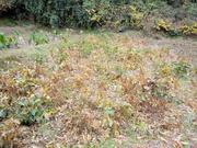 DSCN0299