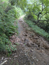 PXL_20260704_072700581