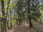 PXL_20260531_042925583