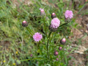 PXL_20260424_033519457