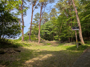 PXL_20260516_042623881