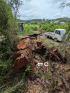 PXL_20260830_034318450