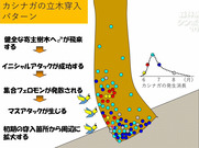 カシナガの立木穿入位置