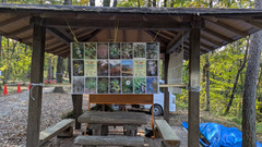 PXL_20251114_040817267