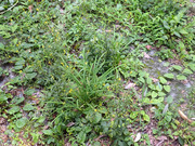 P9060016