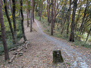 PXL_20251117_234812822