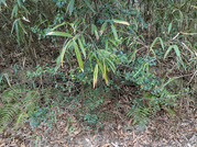 PXL_20260325_034157727