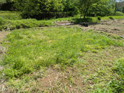 PXL_20260422_011604215