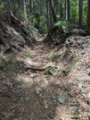 PXL_20260531_024110159