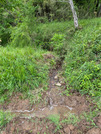 PXL_20260427_032120614