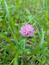 PXL_20260707_090141896