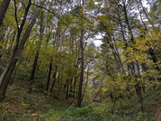 PXL_20251117_231922469