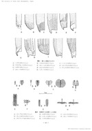 日本のナガキクイムシ科(家屋害虫15-1、1993)_3