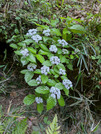 PXL_20260513_031930909