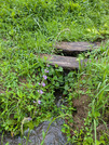 PXL_20260702_073533366