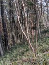 PXL_20260301_015226695