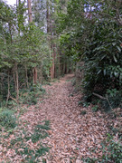PXL_20260319_060003555