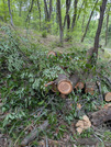 PXL_20260415_042751456