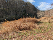 PXL_20260228_000403537