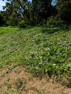 PXL_20260731_051625203