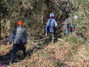 PXL_20260109_015635489