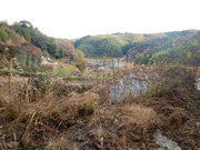 DSCN1522