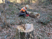 PXL_20260116_015525138