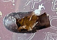 PXL_20260529_063412957