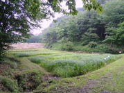 DSC01165