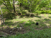 PXL_20260425_032945201