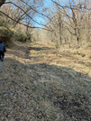 PXL_20260301_040756367