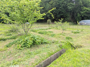 PXL_20260508_040254298