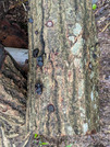 PXL_20260627_024701039