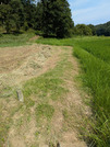 PXL_20260731_051504130